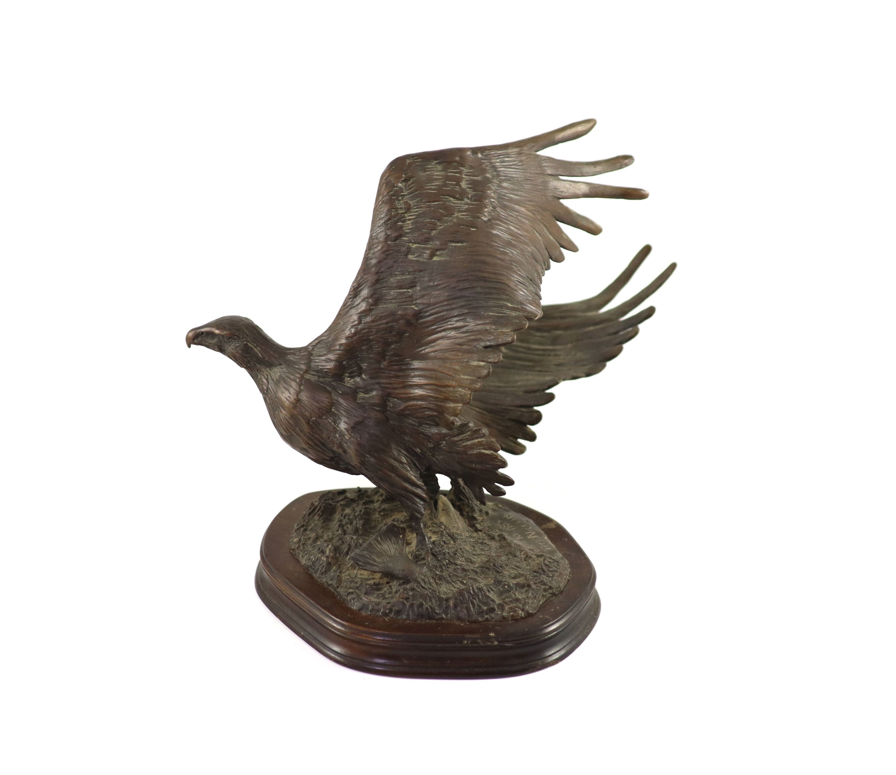 Tim Nicklin. A bronze model of an Osprey catching a salmon width 33cm height 25cm